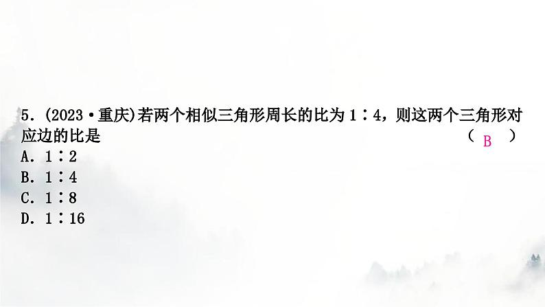 中考数学复习第四章三角形大概念整合3全等三角形与相似三角形课件06