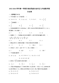 甘肃省武威市凉州区武威第十七中学2023-2024学年七年级（上）期末数学试题（含解析）