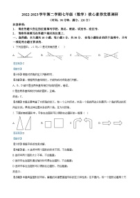 广东省湛江市第七中学2022-2023学年七年级下学期期末数学试题（解析版）