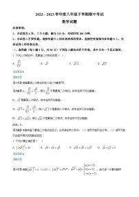 河南省驻马店市平舆县2022-2023学年八年级下学期期中数学试题（解析版）