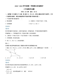 山东省菏泽市成武县2022-2023学年八年级上学期期末数学试题（解析版）