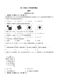 北京市海淀区清华大学附属中学2023-2024学年九年级上学期开学摸底数学试题(无答案)