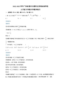 广东省惠州市惠阳区黄埔实验学校2022-2023学年九年级下学期开学数学试题（解析版）