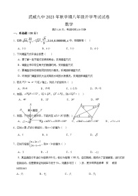 40. 甘肃省武威第九中学2023--2024学年上学期八年级开学考试数学试卷