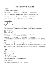 49.陕西省西安市铁一中学2023-2024学年八年级上学期开学考试数学试题(无答案)