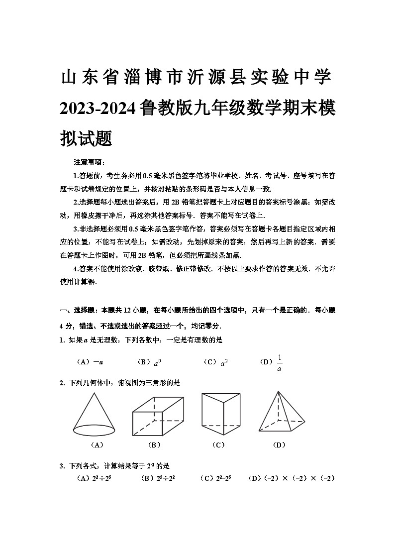 山东省淄博市沂源县实验中学2023-2024学年鲁教版九年级数学上册期末模拟试题第1页