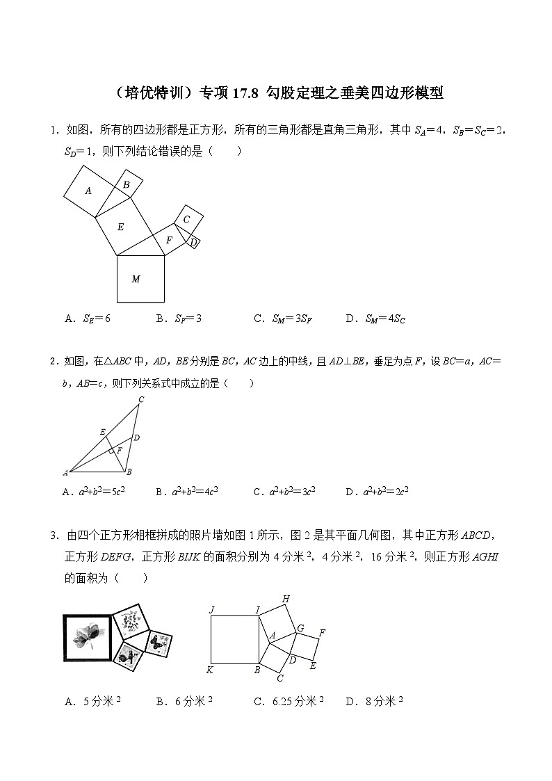 专项17.8 勾股定理之垂美四边形模型 2024年鲁教版（五四制）九年级数学专题培训第1页