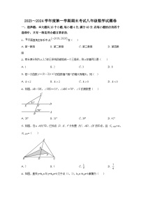 山东省滨州市滨城区第六中学2023～2024学年上学期期末考试八年级数学试题卷