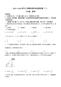 河南省洛阳市宜阳县2023-2024学年九年级上学期12月月考数学试题