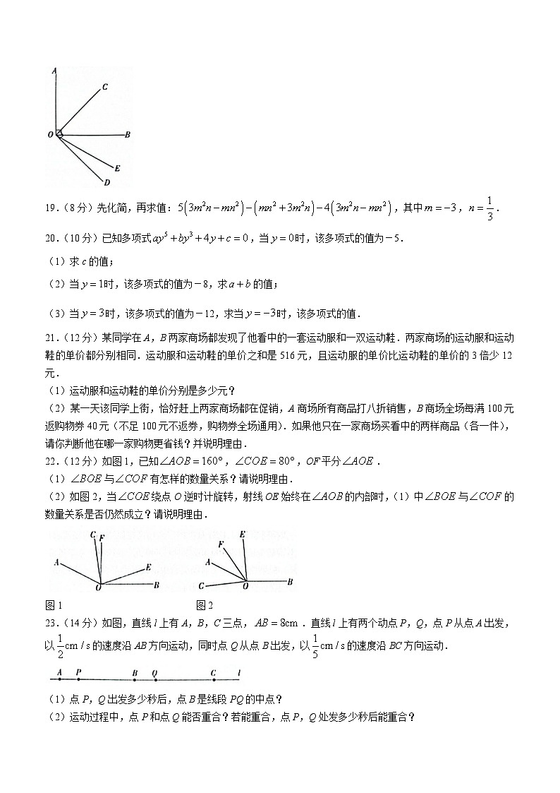 吉林省白山市抚松县2023-2024学年上学期七年级数学期末试题+第3页