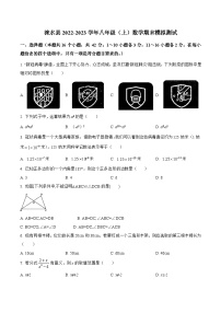 河北省保定市涞水县2022-2023学年八年级上学期期末模拟测试数学试卷(含解析)