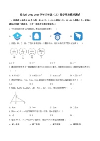 河北省沧州市泊头市2022-2023学年八年级上学期期末模拟测试数学试卷(答案不全)