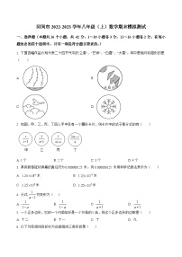 河北省沧州市河间市2022-2023学年八年级上学期期末模拟测试数学试卷