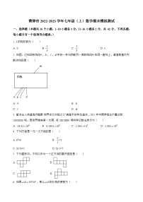 河北省沧州市黄骅市2022-2023学年七年级上学期期末模拟测试数学试卷(含解析)