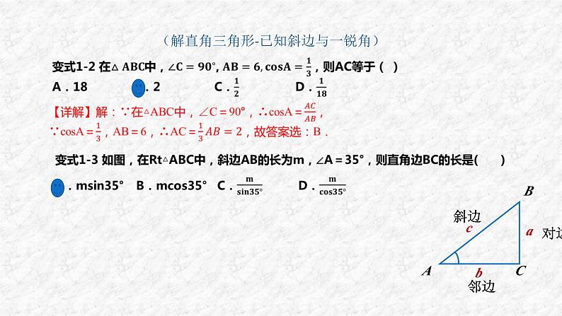 28.2 解直角三角形及其应用 人教版数学九年级下册名师教与练课件06