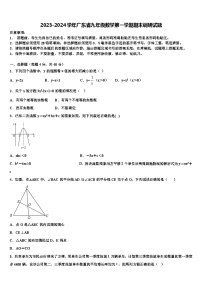 2023-2024学年广东省九年级数学第一学期期末调研试题