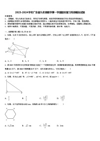 2023-2024学年广东省九年级数学第一学期期末复习检测模拟试题