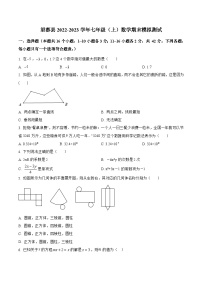 河北省保定市望都县2022-2023学年七年级上学期期末模拟数学试卷+