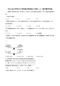 2023-2024学年辽宁省阜新市彰武县八年级（上）期末数学试卷（含解析）