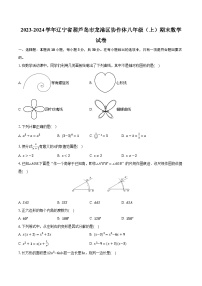 2023-2024学年辽宁省葫芦岛市龙港区协作体八年级（上）期末数学试卷（含解析）