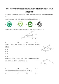 2023-2024学年甘肃省武威市凉州区洪祥九年制学校八年级（上）期末数学试卷（含解析）