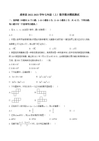 河北省邯郸市成安县2022-2023学年七年级上学期期末模拟测试数学试卷(含解析)