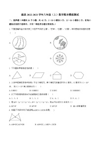 河北省邯郸市磁县2022-2023学年八年级上学期期末模拟测试数学试卷(含解析)