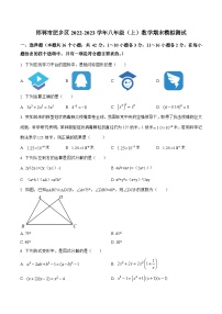 河北省邯郸市肥乡区2022-2023学年八年级上学期期末模拟测试数学试卷