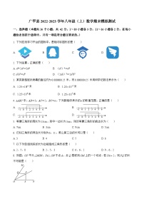 河北省邯郸市广平县2022-2023学年八年级上学期期末模拟测试数学试卷(含解析)