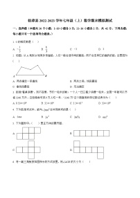 河北省邯郸市临漳县2022-2023学年七年级上学期期末模拟测试数学试卷(含解析)