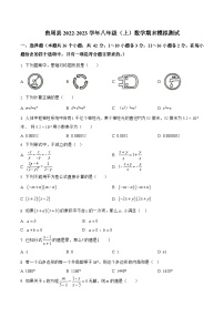 河北省邯郸市曲周县2022-2023学年八年级上学期期末模拟测试数学试卷(含解析)