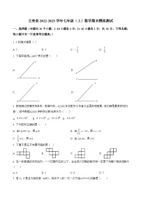 河北省廊坊市文安县2022-2023学年七年级上学期期末模拟测试数学试卷(含解析)