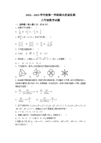 河北省秦皇岛市昌黎县2022-2023学年八年级上学期期末质量检测数学试卷