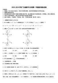 2023-2024学年广东省数学九年级第一学期期末模拟试题