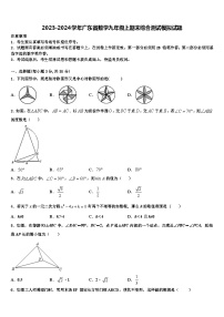 2023-2024学年广东省数学九年级上期末综合测试模拟试题