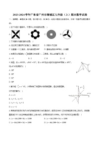 2023-2024学年广东省广州市增城区九年级（上）期末数学试卷（含解析）