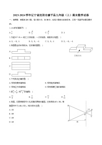 2023-2024学年辽宁省沈阳市康平县九年级（上）期末数学试卷（含解析）