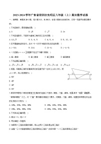 2023-2024学年广东省深圳市光明区八年级（上）期末数学试卷（含解析）