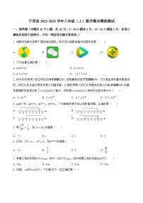 河北省邢台市宁晋县2022-2023学年八年级上学期期末模拟测试数学试卷(含解析)