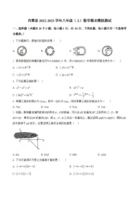 河南省安阳市内黄县2022-2023学年八年级上学期期末模拟测试数学试卷(含解析)