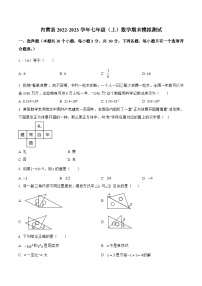 河南省安阳市内黄县2022-2023学年七年级上学期期末模拟测试数学试卷(答案不全)