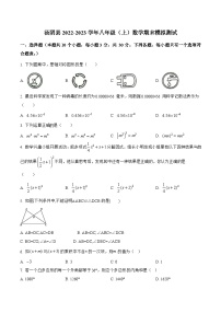 河南省安阳市汤阴县2022-2023学年八年级上学期期末模拟测试数学试卷(含解析)