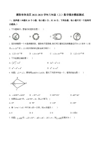 河南省濮阳市华龙区2022-2023学年八年级上学期期末模拟测试数学试卷(含解析)