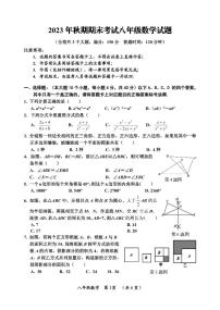 重庆市武隆区2023-2024学年八年级上学期期末数学试题