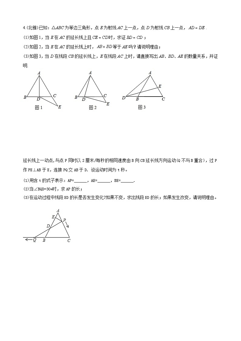 专题08 截长补短类压轴题真题分类-2022-2023学年八年级数学上册重难点题型期末复习热点题型（人教版）03