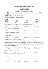 辽宁省朝阳市朝阳县2023-2024学年八年级上学期期末数学试题