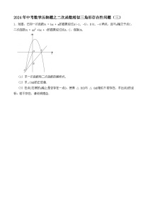 2024年中考数学压轴题之二次函数相似三角形存在性问题（三）（试题）