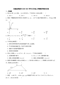 安徽省桐城市2020-2021学年九年级上学期数学期末试卷