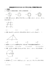 安徽省滁州市天长市2020-2021学年九年级上学期数学期末试卷