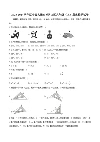 +辽宁省大连市沙河口区2023-2024学年八年级上学期期末数学试卷